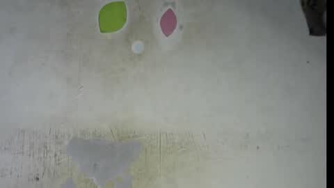 Bella online show from 02.06.26