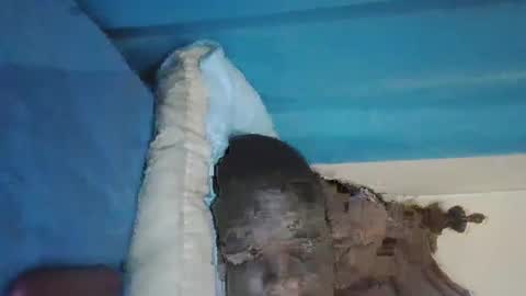 Snapshot of wetcock44 chatting on 12.03.24 wetcock44 online show from 12.03.24