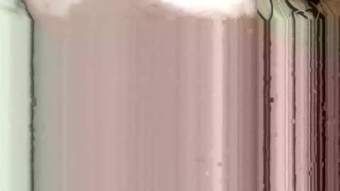 whispereddy online show from 03.09.26