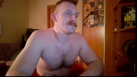 Snapshot of whitebull97 chatting on 02.08.26 WhiteBull online show from 02.08.26