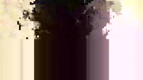 Snapshot of whitedood432 chatting on 11.28.25 whitedood432 online show from 11.28.25