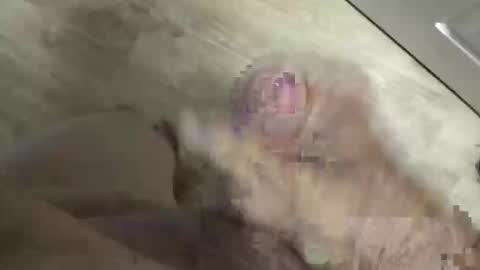 whitelava_4u online show from 05.30.26