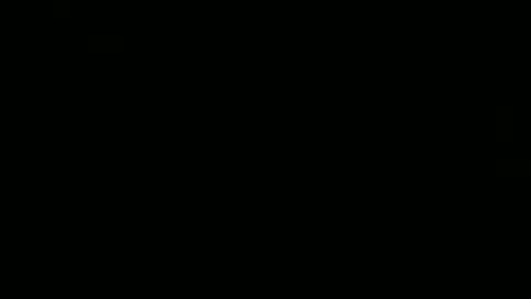 whoopthereitis8 online show from 11.29.25