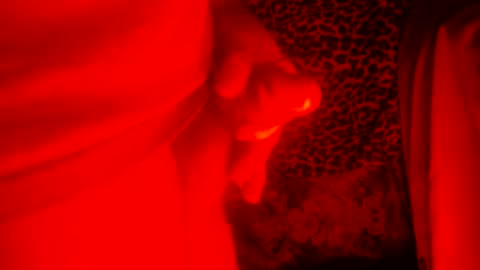 Snapshot of whor4mor chatting on 12.27.24 whor4mor online show from 12.27.24