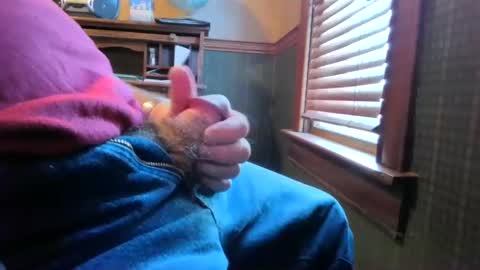 whydog online show from 03.01.25