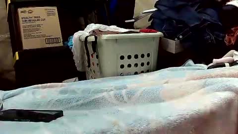 Ryder Harder online show from 10.20.25