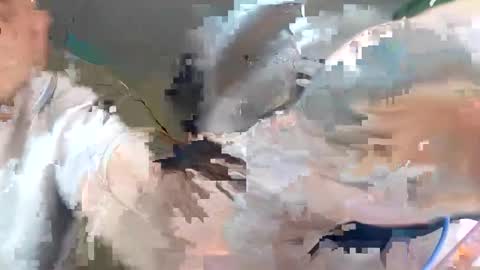 WikiBitch online show from 10.10.25