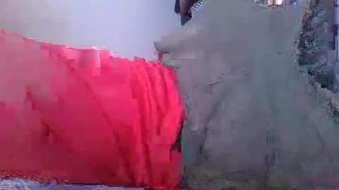 wild lemont online show from 10.08.25