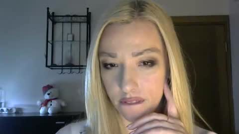 Snapshot of wild_silk_desire chatting on 01.31.25 Alina online show from 01.31.25