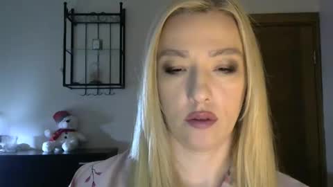 Snapshot of wild_silk_desire chatting on 02.17.25 Alina online show from 02.17.25