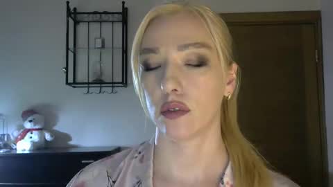 Snapshot of wild_silk_desire chatting on 03.08.25 Alina online show from 03.08.25