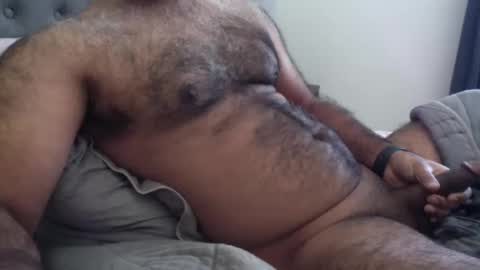 wildhungry online show from 12.01.25