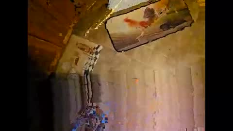 Snapshot of wildman2900 chatting on 12.08.24 wildman2900 online show from 12.08.24