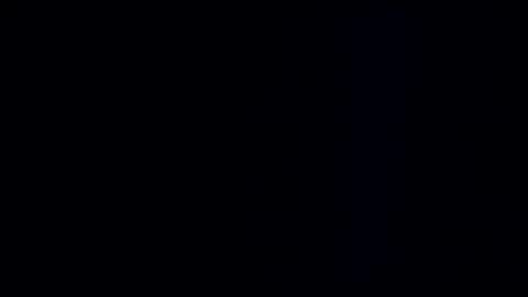 wildman3845 online show from 12.29.24