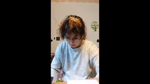 WildPersia online show from 02.10.26