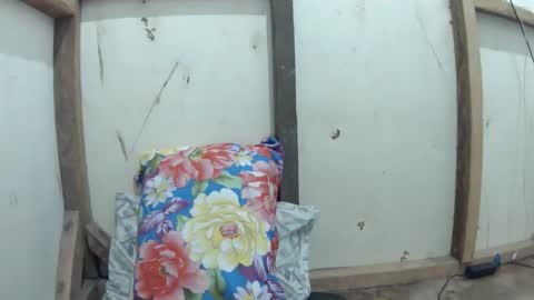 wildpoohkhaye online show from 04.02.26