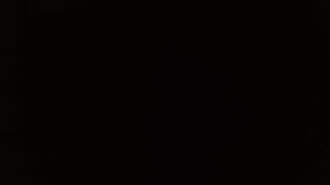 wildwills online show from 04.14.26