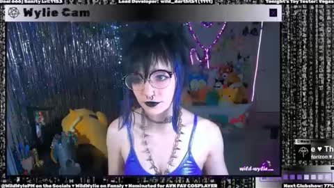 Snapshot of wildwylie chatting on 01.08.25 Wylie Wanderlust online show from 01.08.25
