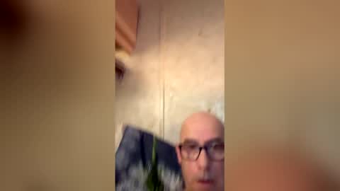 will19672025 online show from 04.11.26