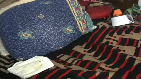 Willamyth online show from 02.09.25