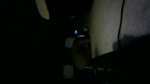 Willhedoher online show from 10.15.25