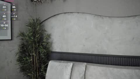 Ms Willow online show from 12.12.24