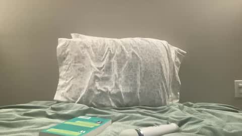 Snapshot of willowwilder chatting on 01.03.25 Willow online show from 01.03.25