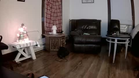 willydogg83 online show from 12.16.25