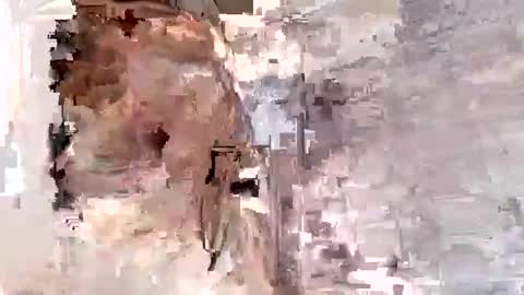 willytal2025 online show from 01.13.26