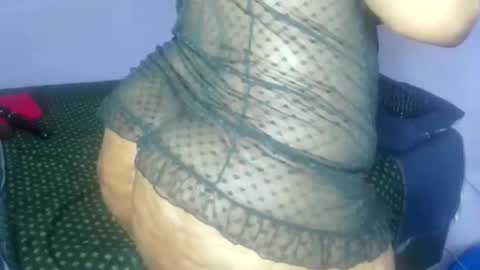 wilmaassylum online show from 11.10.25