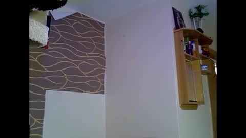 wisdom7_ online show from 12.05.25