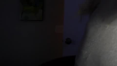 Snapshot of wishgoddes chatting on 11.12.25 WishGoddes online show from 11.12.25