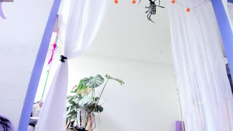     Luna Violeta  A r t i s t  online show from 10.28.25