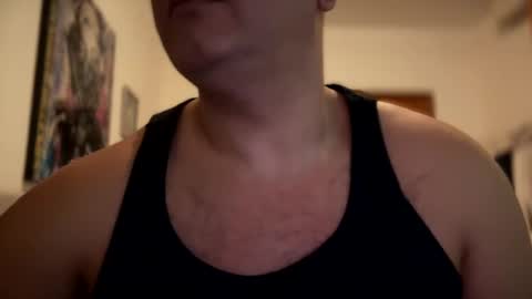 Witebull online show from 02.10.25