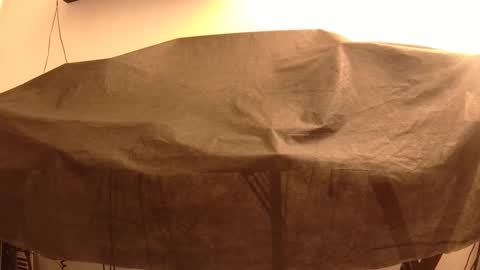 Mater online show from 01.22.25