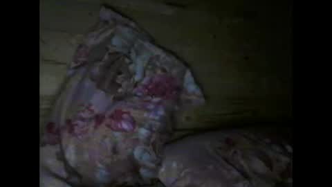 Vili online show from 04.15.26