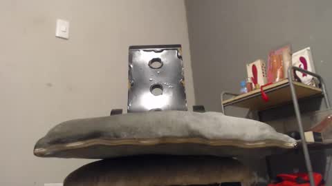 SHENIEL RODRIGUEZ online show from 12.02.25