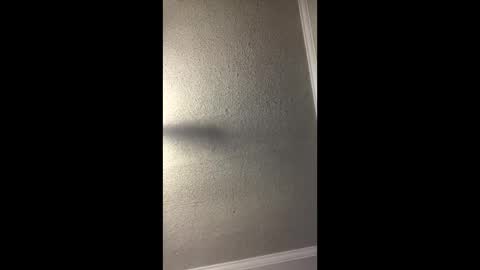 Woodpipe69 online show from 12.23.24