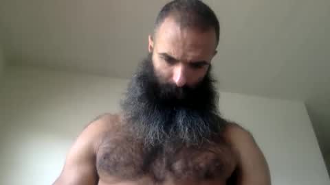 woof_wolf37 online show from 03.05.26