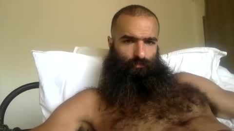 woof_wolf37 online show from 03.29.26