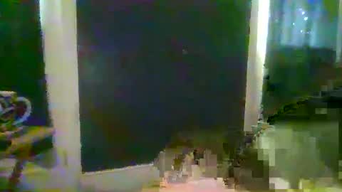 woperator3 online show from 12.08.24