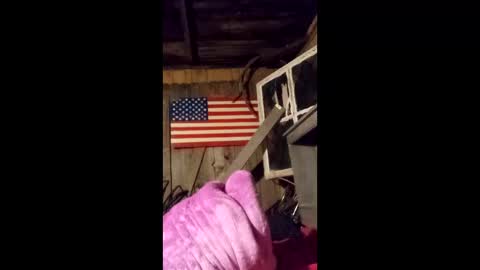 wowsers7 online show from 03.25.26