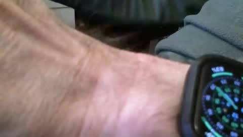 Snapshot of wrangleat0r chatting on 11.16.25 wrangleat0r online show from 11.16.25