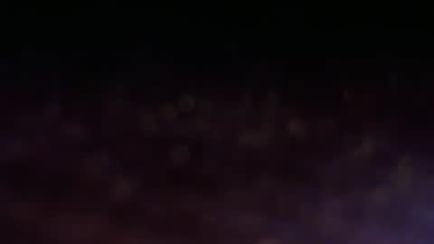 wrangleat0r online show from 02.18.26