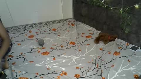 Alexa online show from 11.17.25