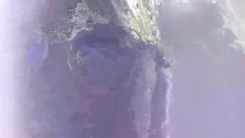 Genesis online show from 12.04.25