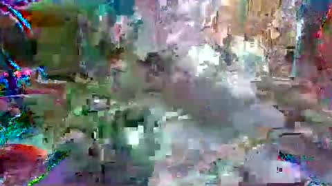 xixo6969 online show from 04.12.26