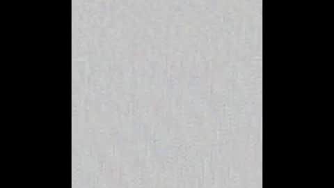 JSSD online show from 11.23.25