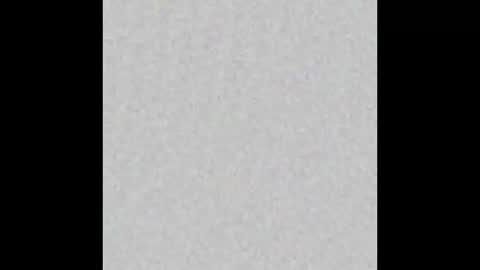 JSSD online show from 11.24.25