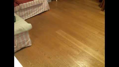 xmystiqdreamsx online show from 01.26.25